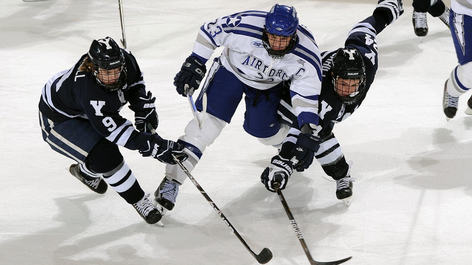 辽宁飞豹球员之间沟通合作效率显著提升,辽宁飞豹队领队